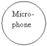 Flowchart: Connector: Micro-phone